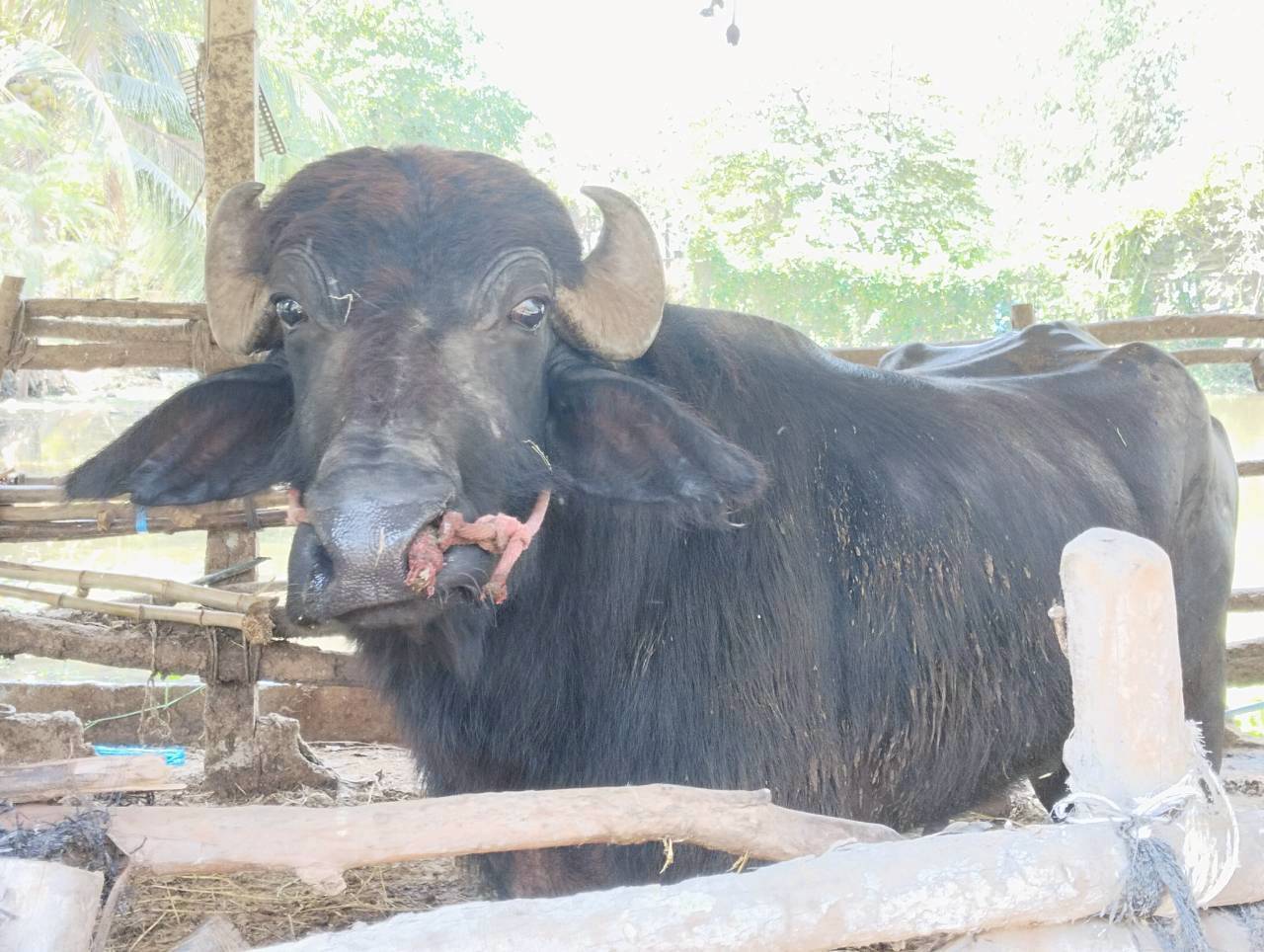 title - ผู้ตรวจราชการ ส.ป.ก. ประชุมตรวจติดตามความก้าวหน้าผลการดำเนินงานตามแผนการตรวจราชการ ประจำปีงบประมาณ พ.ศ. 2569 รอบที่ 1 เขตตรวจราชการที่ 2 จังหวัดนครปฐม และลงพื้นที่ตรวจเยี่ยมเกษตรกรในเขตปฏิรูปที่ดินจังหวัดนครปฐม